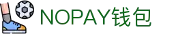 NOPAY钱包 - 数字钱包支付平台|安全便捷的移动支付